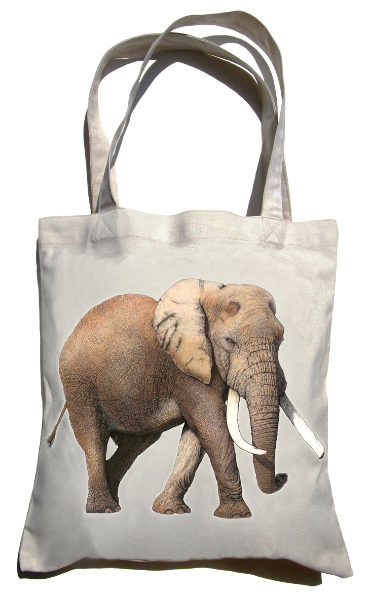 ClassicC0301001 Elephant Canvas Bag Size 40cm x 42cm