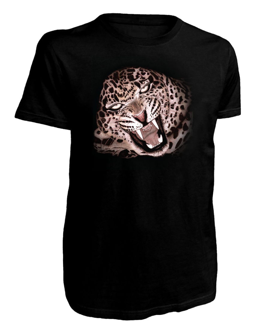 ClassicA0503002 Leopard