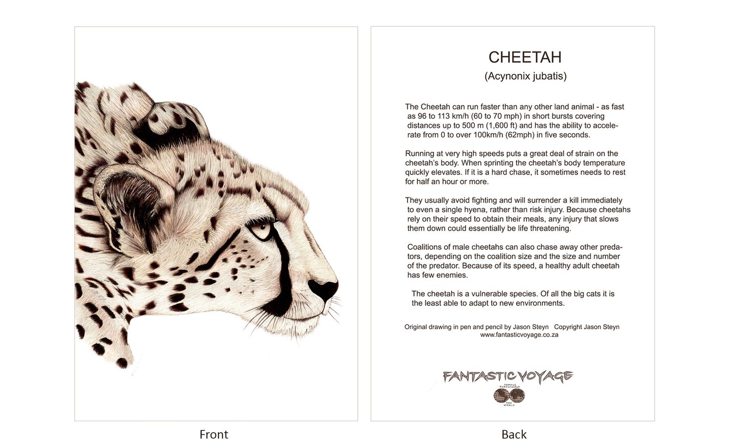 ClassicD010100 Cheetah Gift Card