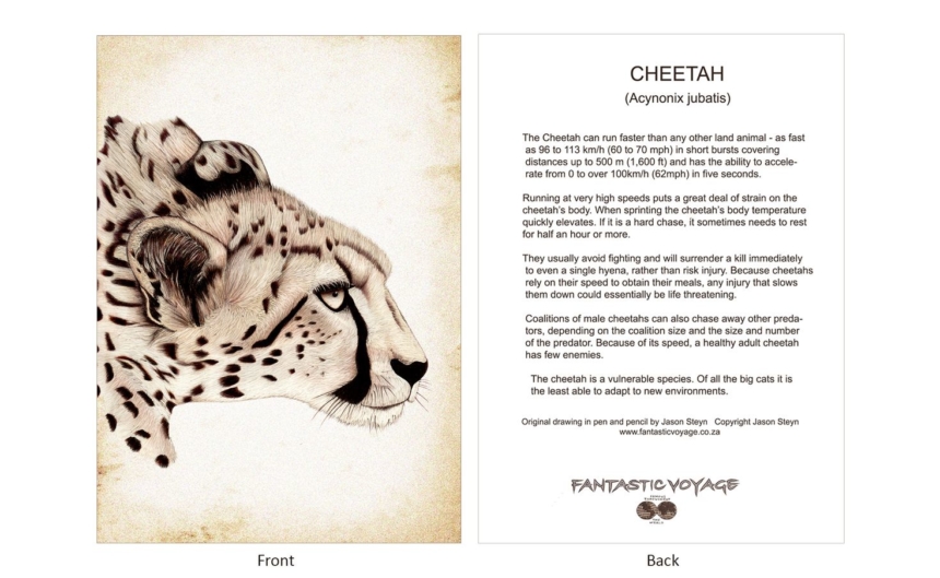 ClassicD010101 Cheetah Gift Card
