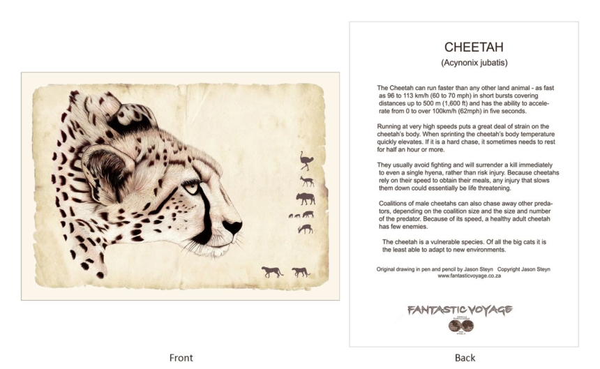 ClassicD010102 Cheetah Gift Card