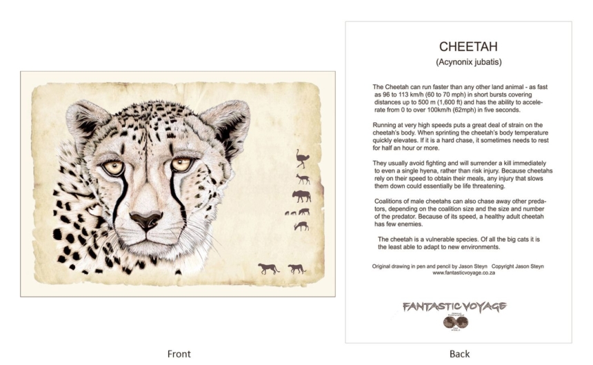 ClassicD010201 Cheetah Gift Card