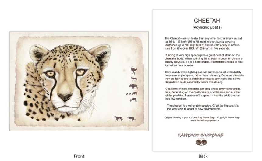 ClassicD010202 Cheetah Gift Card