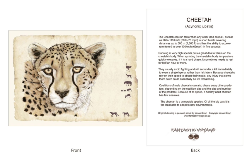 ClassicD010203 Cheetah - Gift Card