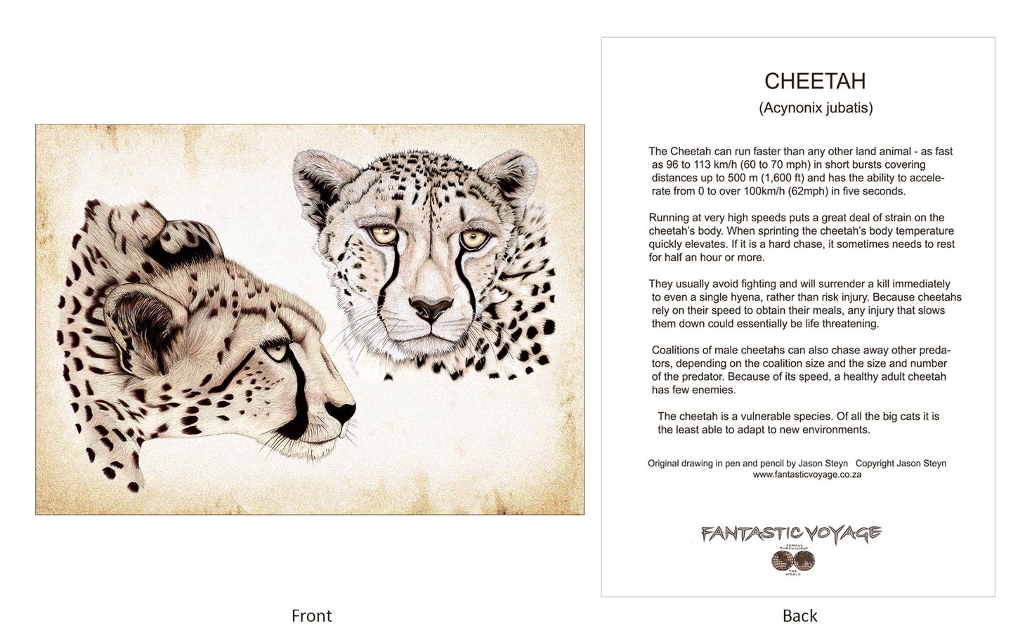ClassicD010204 Cheetah Gift Card