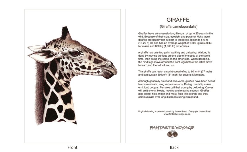 ClassicD020100 Giraffe Gift Card
