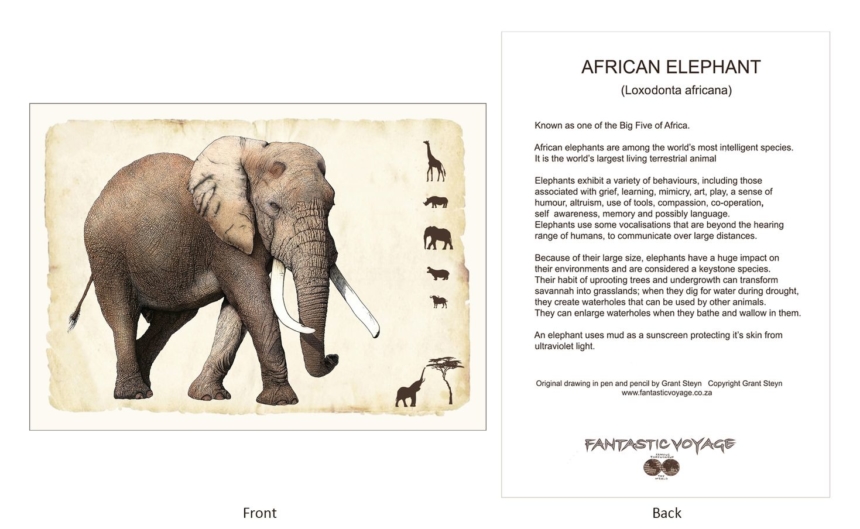 ClassicD030101 Elephant Gift Card