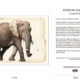 ClassicD030102 Elephant Gift Card