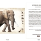 ClassicD030103 Elephant Gift Card