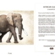 ClassicD030104 Elephant Gift Card