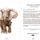 ClassicD030200 Elephant Gift Card