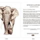 ClassicD030300 Elephant Gift Card