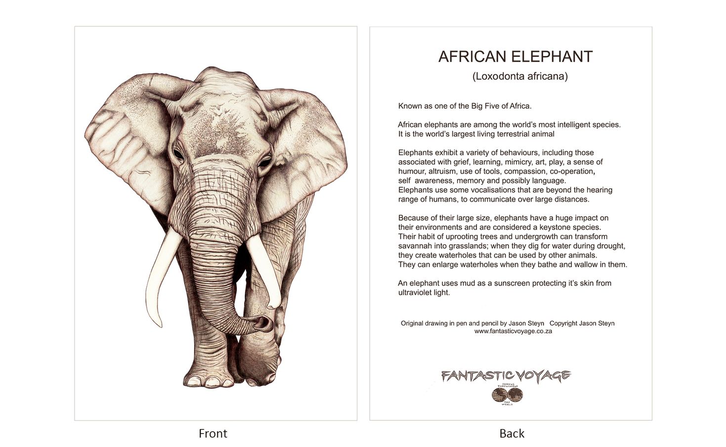 ClassicD030300 Elephant Gift Card