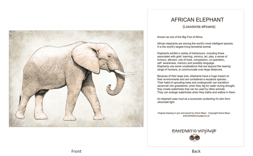 ClassicD030402 Elephant Gift Card