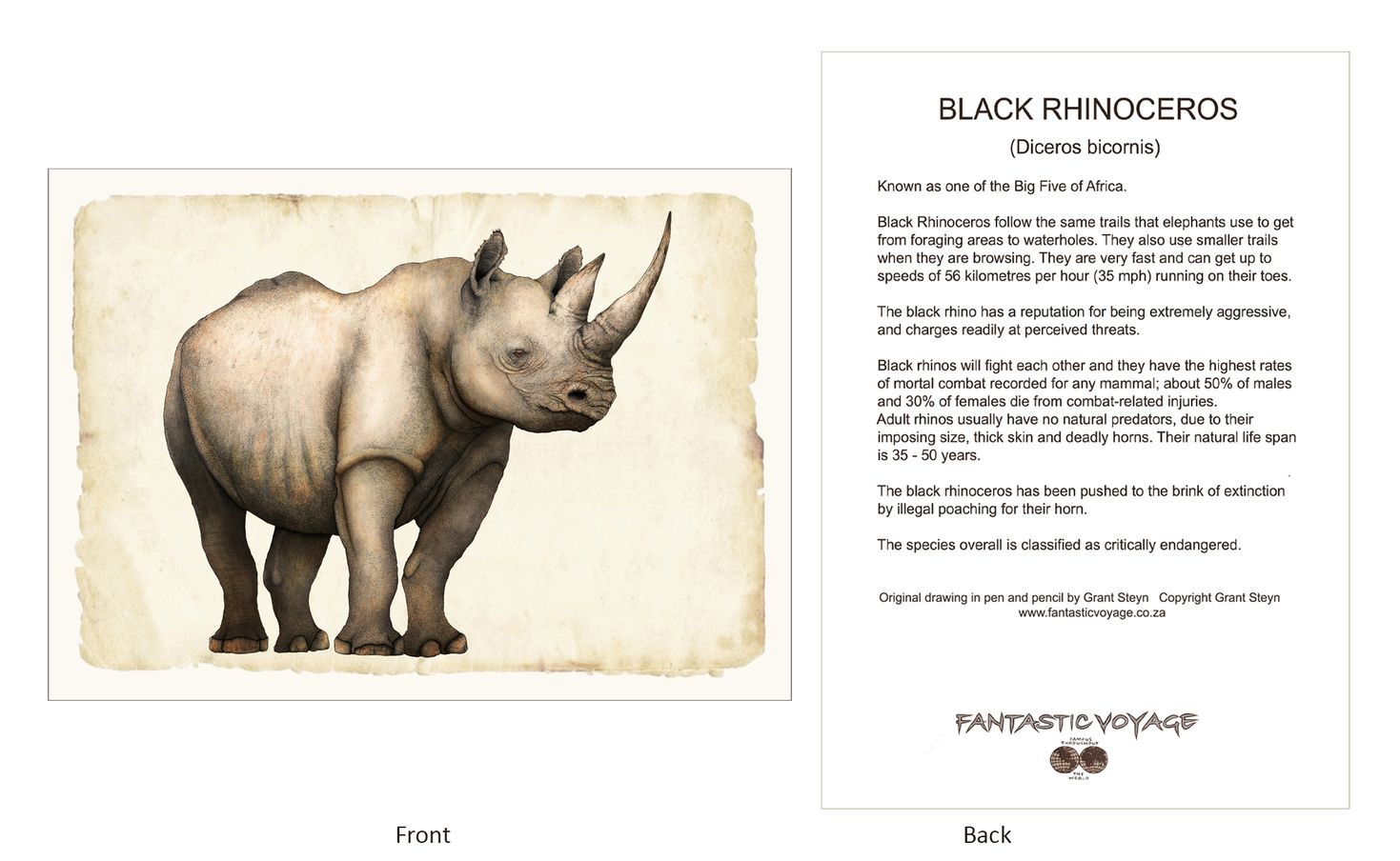 ClassicD040101 Rhino Gift Card