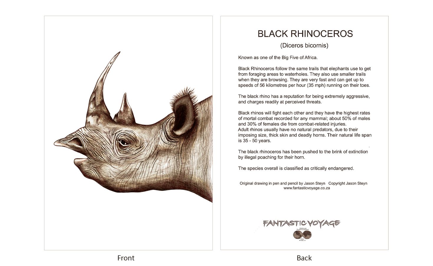 ClassicD040300 Rhino Gift Card