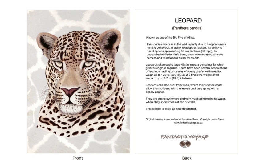 ClassicD050102 Leopard Gift Card