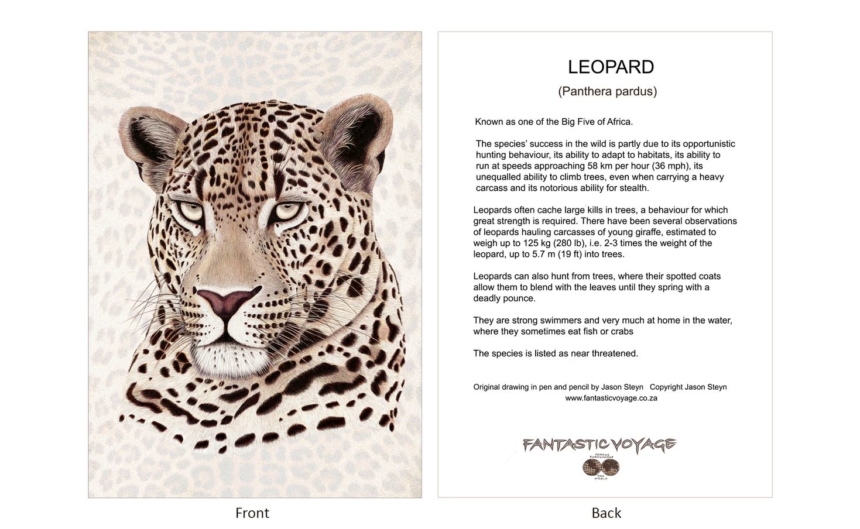 ClassicD050103 Leopard - Gift Card