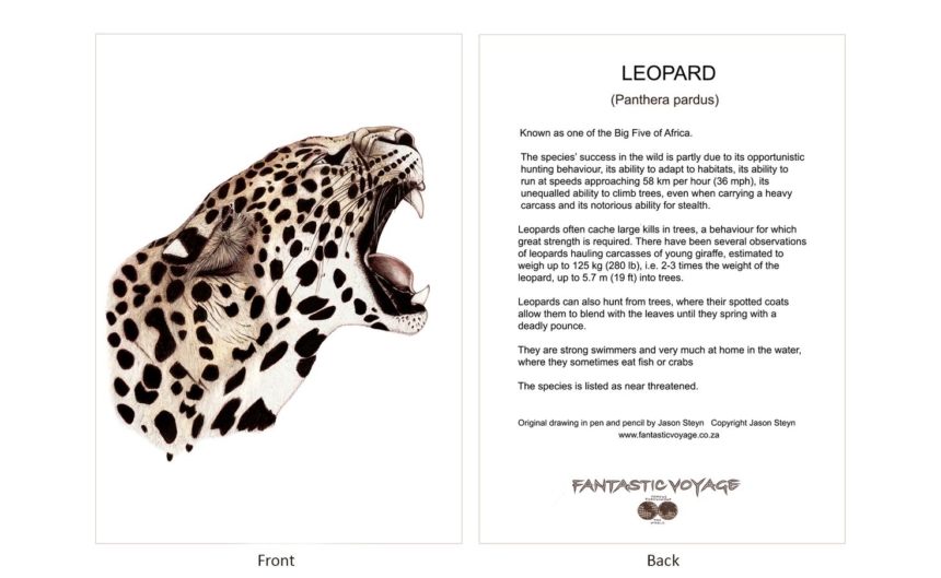 ClassicD050200 Leopard Gift Card