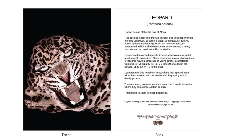 ClassicD050300 Leopard Gift Card