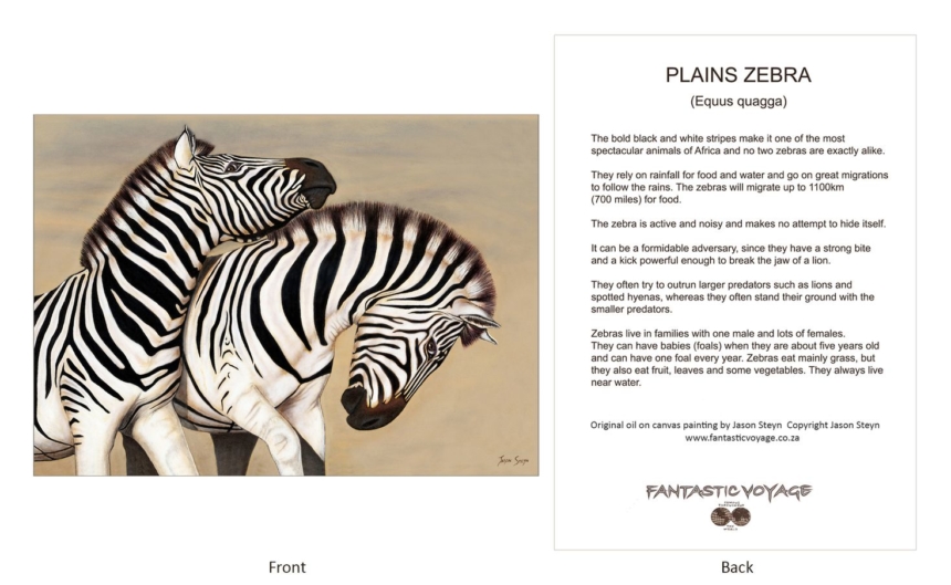 ClassicD060301 Zebra Gift Card