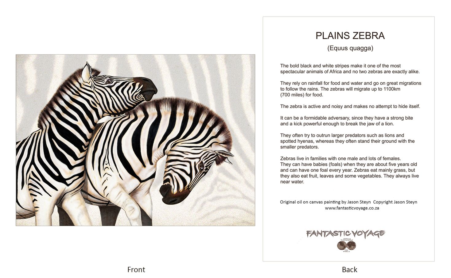 ClassicD060303 Zebra Gift Card
