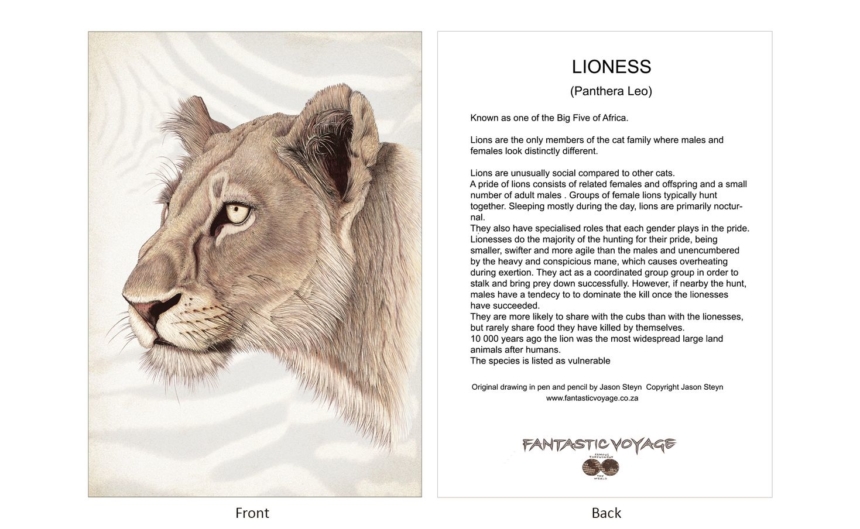 ClassicD070102 Lioness Gift Card