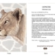 ClassicD070104 Lioness Gift Card