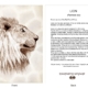 ClassicD080201 Lion Gift Card
