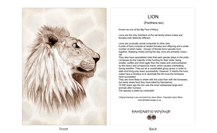 ClassicD080201 Lion Gift Card