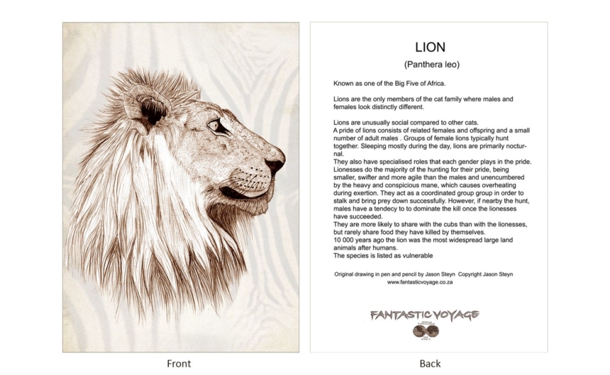 ClassicD080202 Lion Gift Card