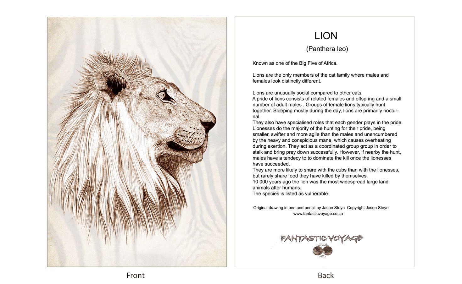ClassicD080202 Lion Gift Card