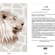 ClassicD080203 Lion Gift Card