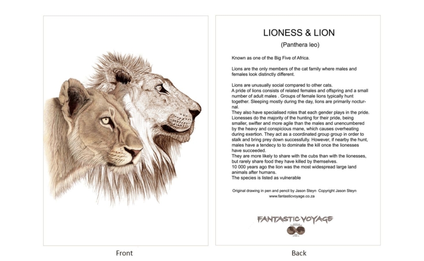 ClassicD090100 Lion Pair Gift Card