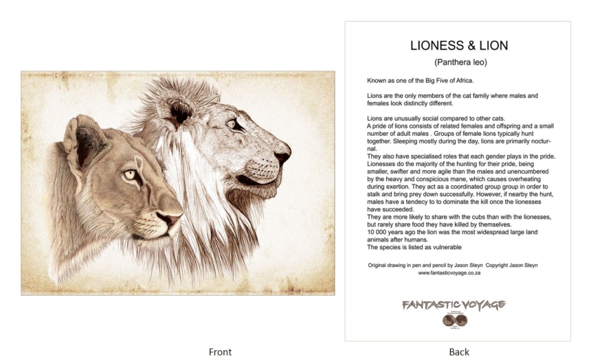 ClassicD090101 Lion Pair Gift Card
