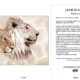 ClassicD090102 Lion Pair Gift Card