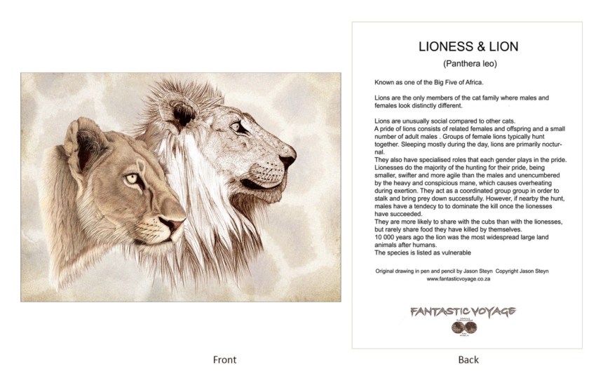 ClassicD090102 Lion Pair Gift Card