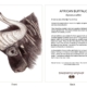ClassicD100100 Buffalo Gift Card