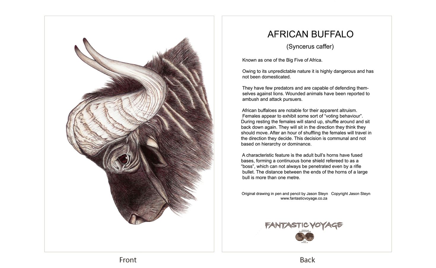 ClassicD100100 Buffalo Gift Card