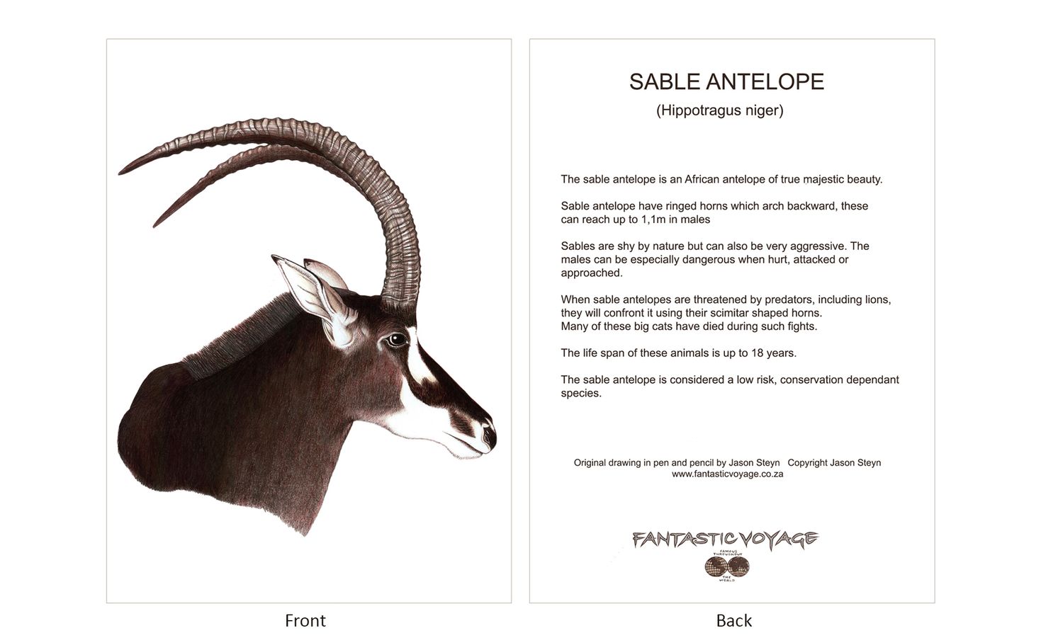 ClassicD110100 Sable Gift Card
