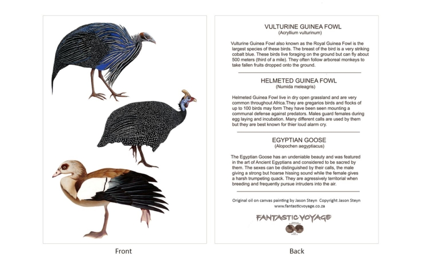 ClassicD500500 Guinea Fowl Gift Card