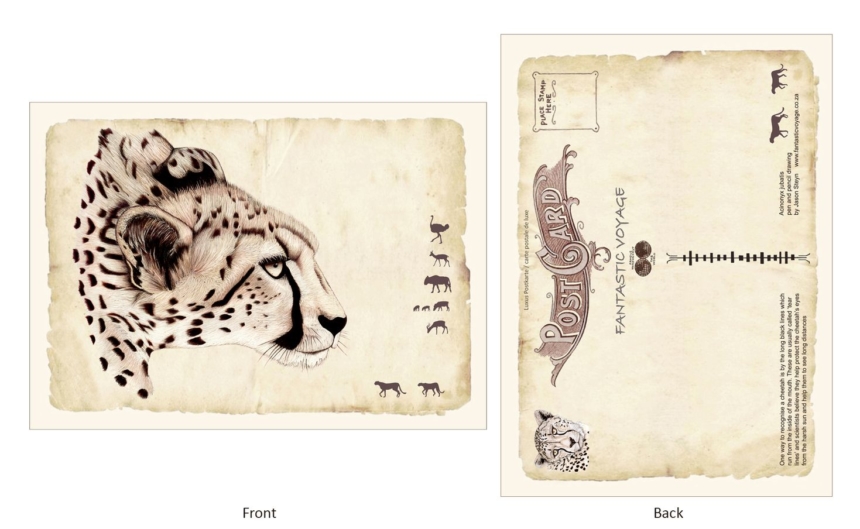 ClassicE010102 Cheetah Luxury Post Card