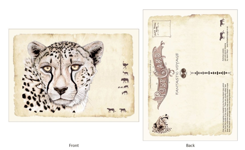 ClassicE010201 Cheetah Luxury Post Card