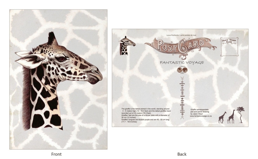 ClassicE020103 Giraffe Luxury Post Card