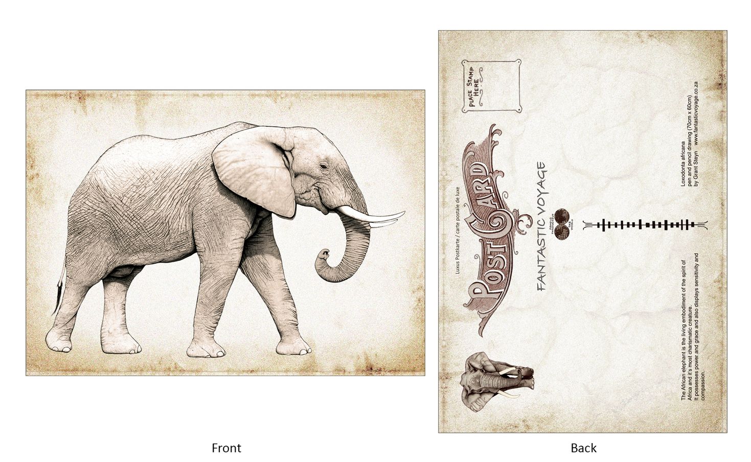 ClassicE030404 Elephant Luxury Post Card