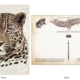 ClassicE050103 Leopard Luxury Post Card