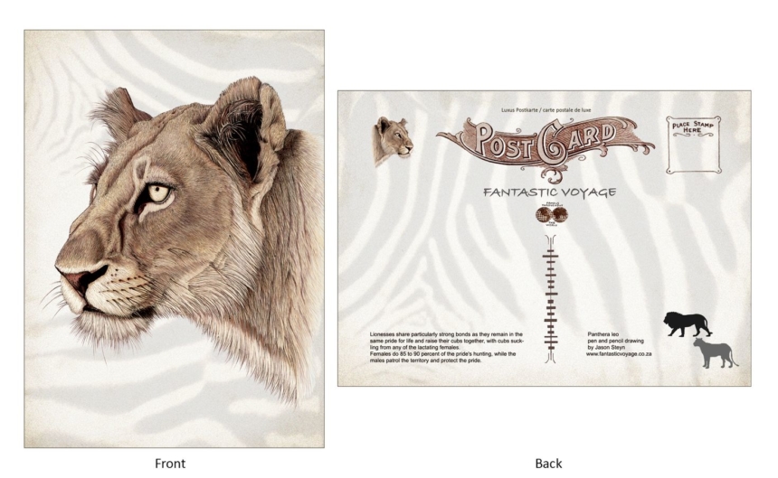 ClassicE070102 Lioness Luxury Post Card