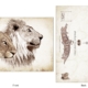 ClassicE090101 Lion Pair Luxury Post Card