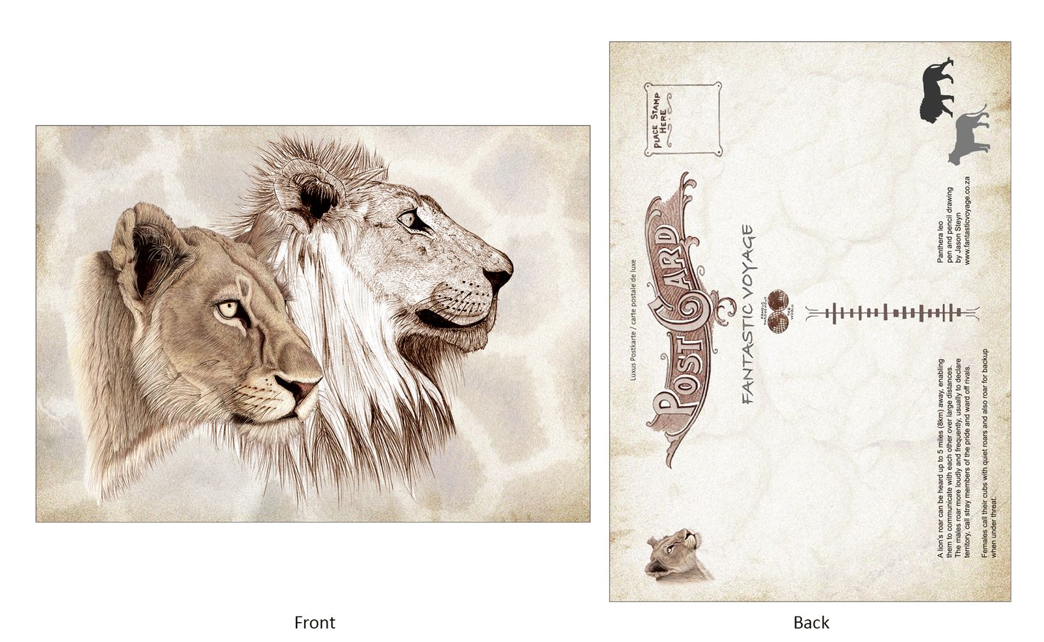 ClassicE090102 Lion Pair Luxury Post Card