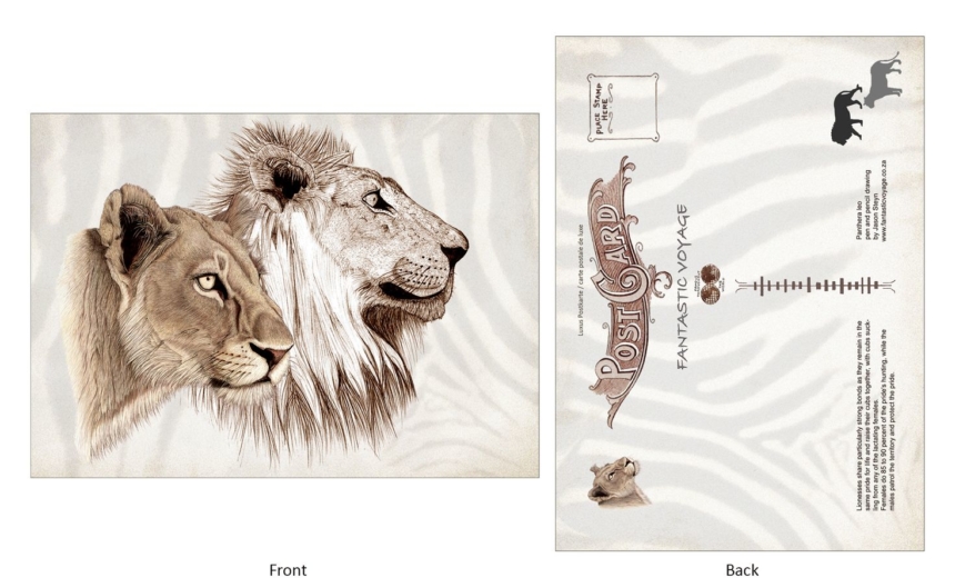 ClassicE090103 Lion Pair Luxury Post Card